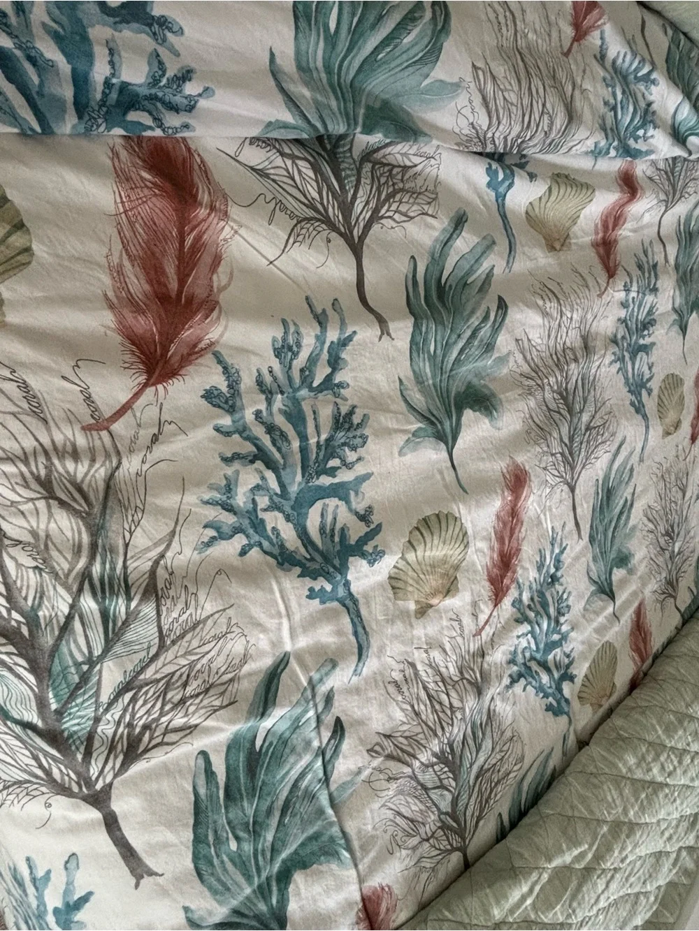 Pottery Barn Coastal Shells Quilt Set in Seafoam
